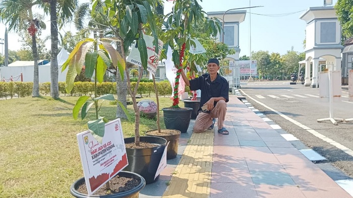 Tanpa Karangan Bunga, Ucapan Hari Jadi Kendal Berbentuk Bibit Pohon Mulai Berdatangan