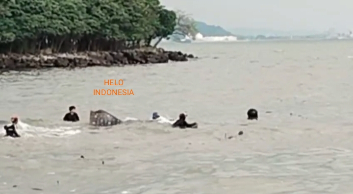 HIU TUTUL