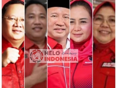 PDIP
