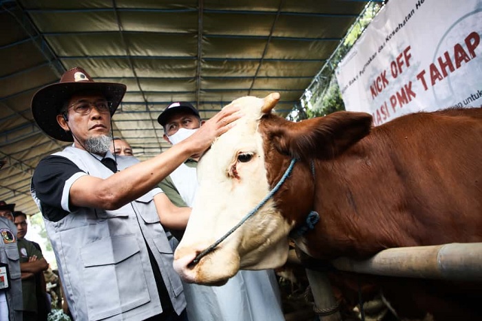 Genjot Swasembada Daging, Pemprov Jateng Targetkan Satu Juta Vaksinasi PMK