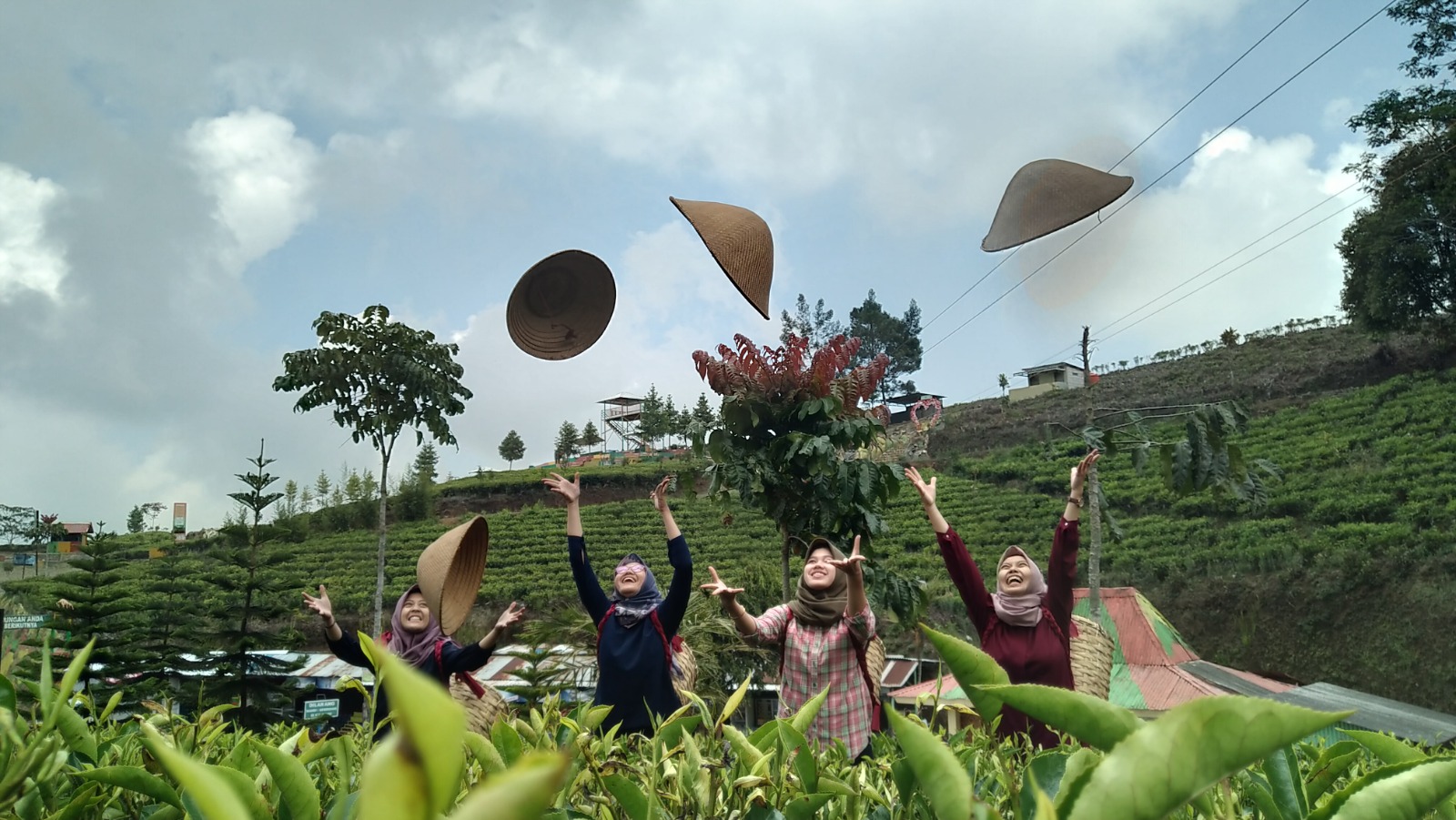 Hamparan kebun teh di lereng Gunung Slamet, Kawasan Agrowisata Kaligua, Brebes, Jawa Tengah itu memb