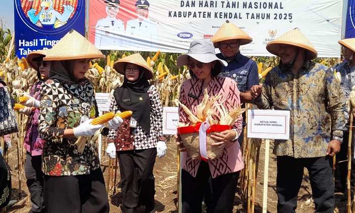 Peringatan Hari Pangan Sedunia dan Hari Tani Nasional, Dispertan Panen Jagung dan Salurkan Bantuan