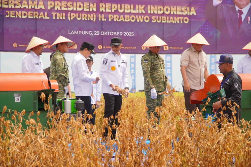 Panen Kedelai di Lampung Utara Jadi Simbol Kolaborasi Pemerintah dan TNI Wujudkan Kedaulatan Pangan Nasional