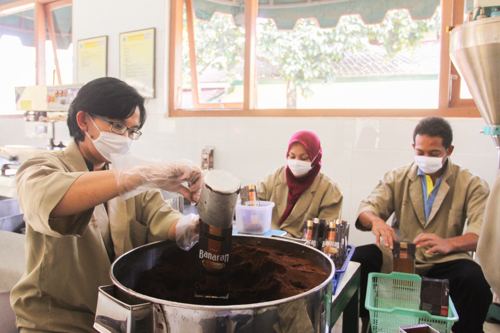 Perkuat Komoditas Kopi, PTPN I Konversi Dua Pabrik Teh