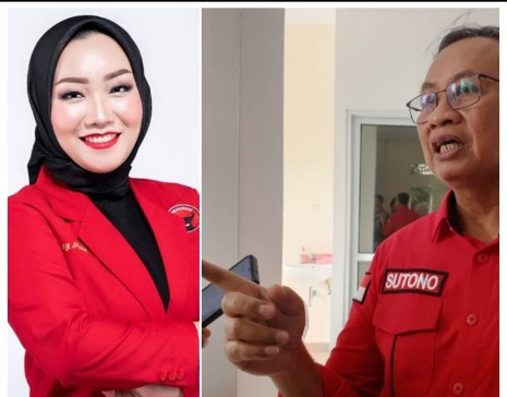 PDIP