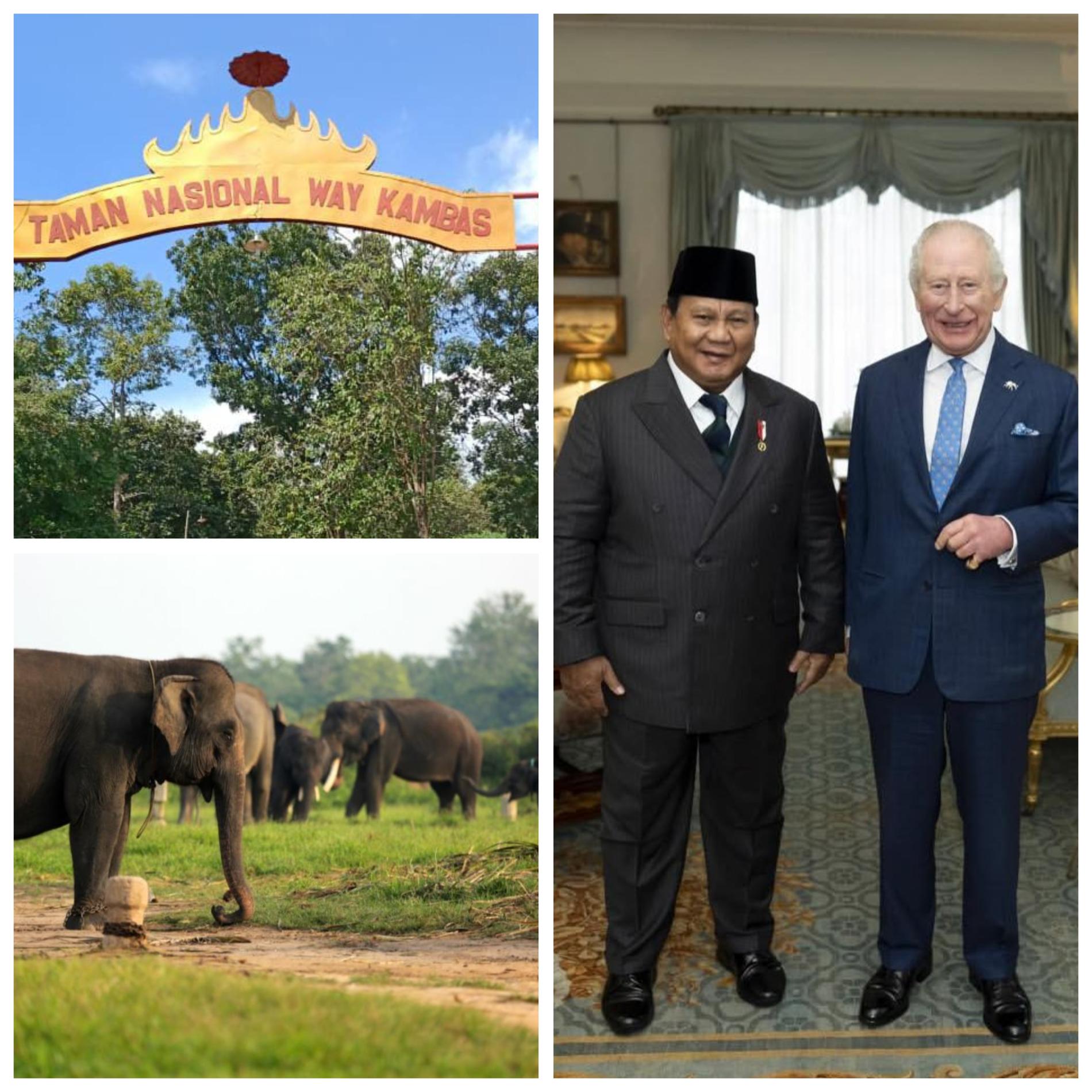 Way Kambas Lampung Jadi Prioritas Kerja Sama Konservasi dalam Pertemuan Prabowo–Raja Charles III