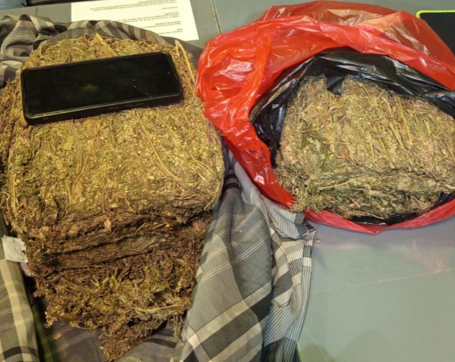 Ganja