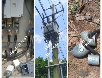PLN