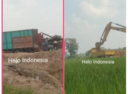 Kebun Binatang