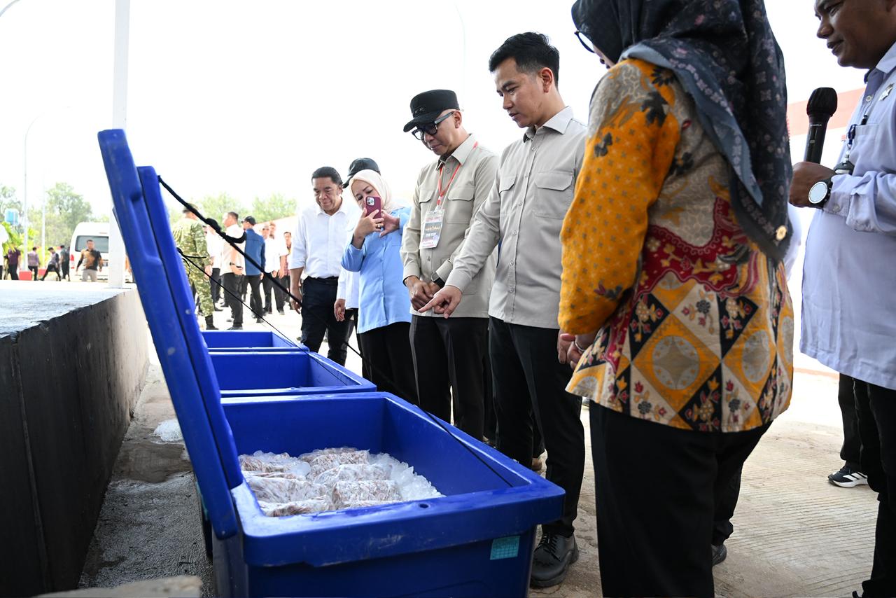 Pastikan Fasilitas Kawasan Nelayan Terintregasi, Wapres Tinjau KNMP Desa