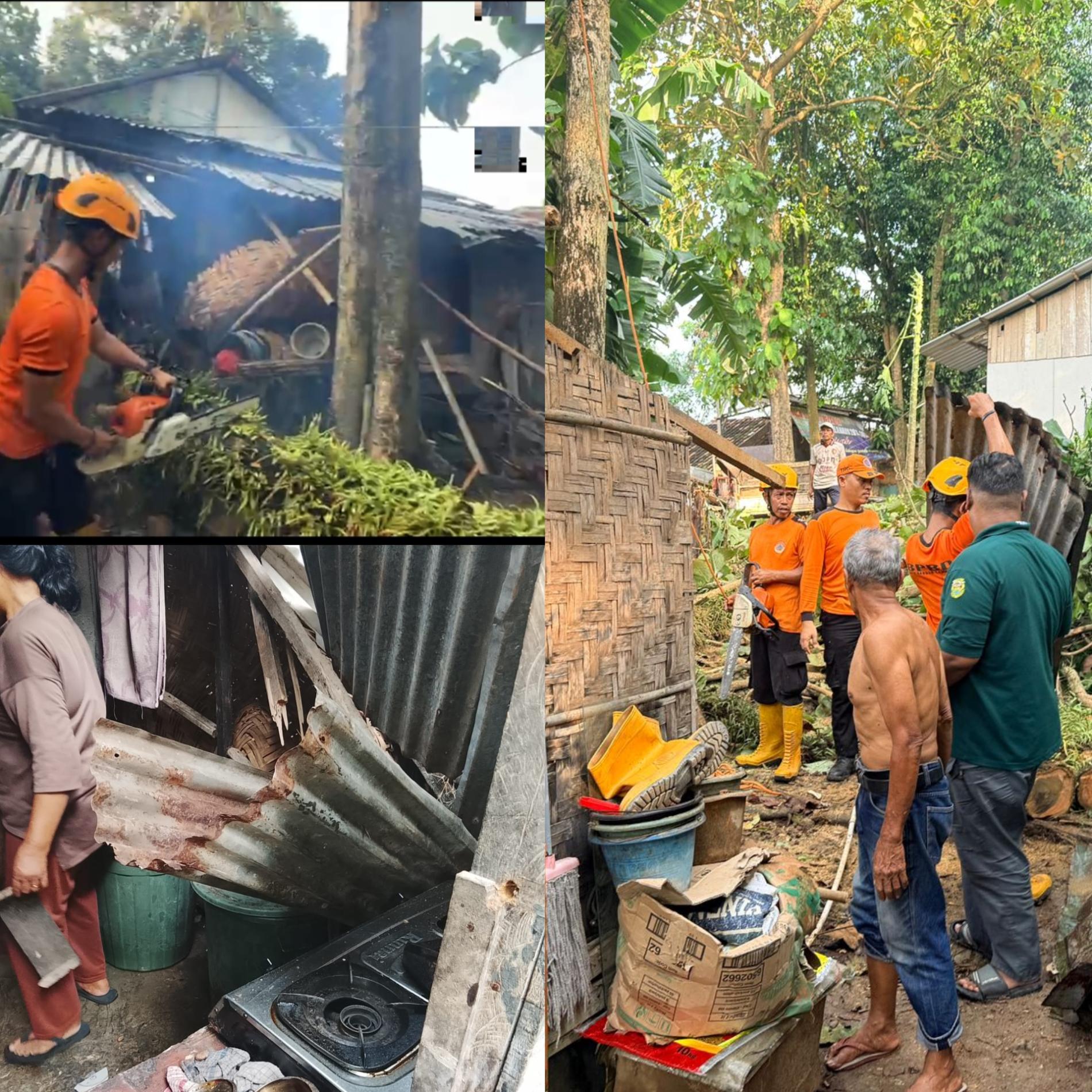 BPBD, Satpol PP, dan Linmas Evakuasi Pohon Jati Patah yang Menimpa Rumah Warga