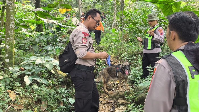 K9 Polres Purbalingga Diterjunkan , Lacak Lansia Pikun yang Hilang Misterius di Hutan