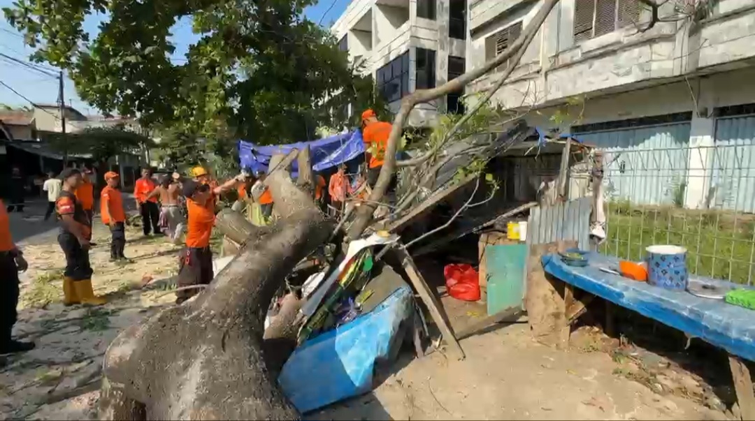 Pohon Kedondong Hutan Tumbang Timpa Warung Pecel di Bumi Waras, Seorang Warga Alami Luka Ringan