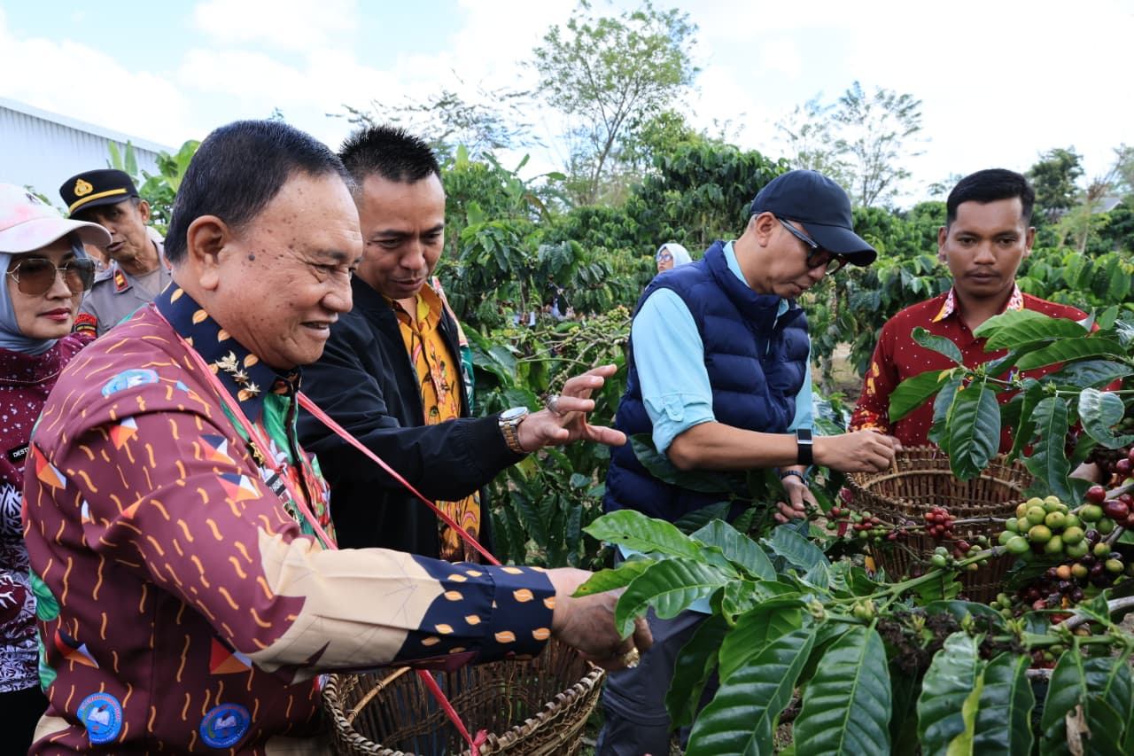 PHC Ubah Wajah Perkebunan Kopi Lampung, Gubernur Mirza Dorong Produktivitas Kopi Meningkat