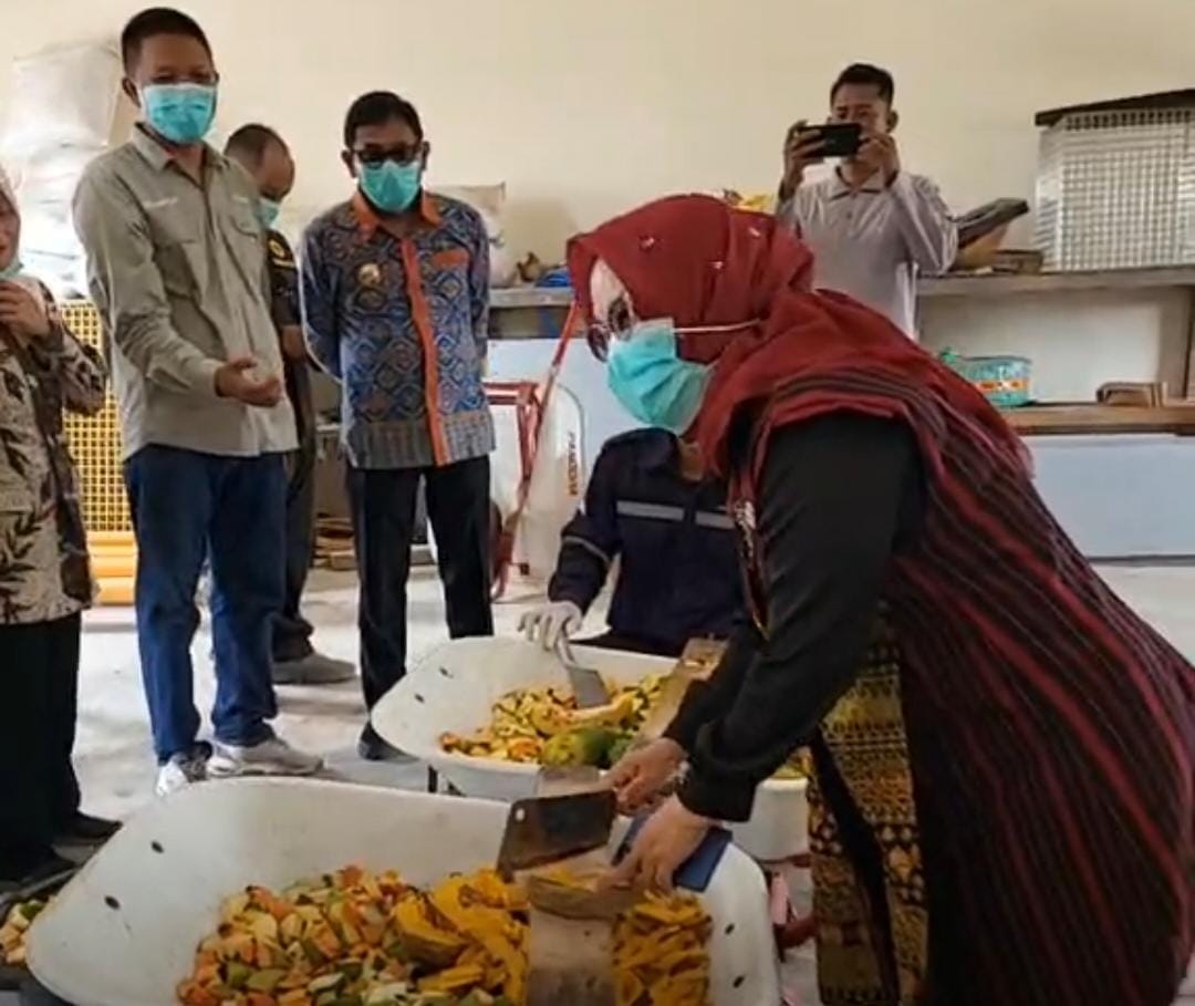 Bupati Mesuji Tinjau Pengolahan Pakan Monyet Ekor Panjang di PT Biomedika Nusantara Indah