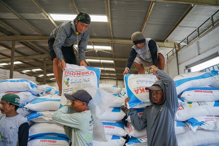 Meledak 253 Persen! Efek Danantara Bikin Laba Pupuk Indonesia Tembus Rp 8,51 Triliun
