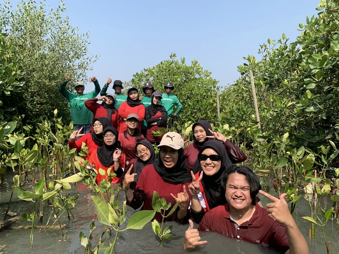 Isi Kemerdekaan, UKM PIB USM Tanam Mangrove di Eduwisata Mangrove Camar