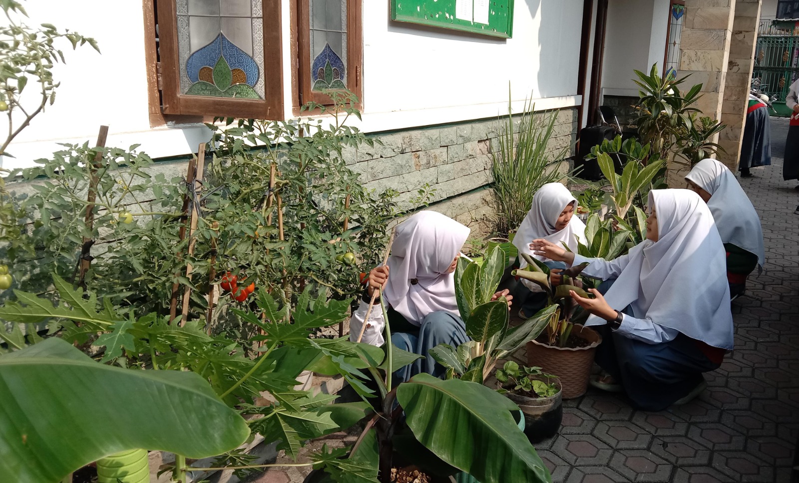 Mencintai lingkungan
