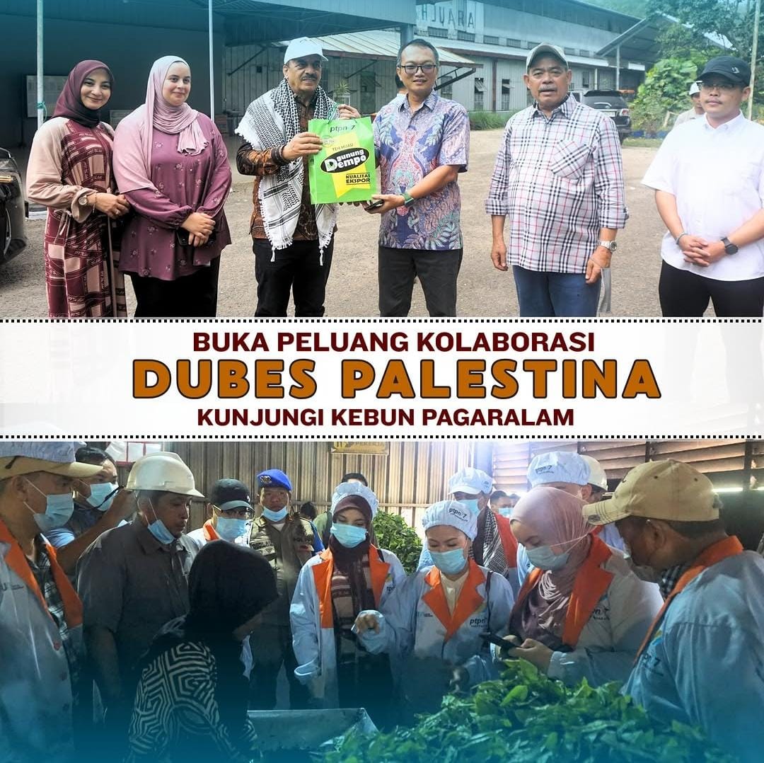 PTPN I (Persero) Regional 7 Buka Peluang Kolaborasi, Dubes Palestina Kunjungi Kebun Pagaralam