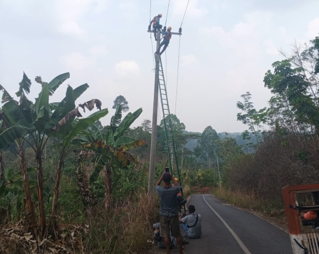 Kayu Tumbang di Sinar Jawa, Kru PLN dan Perusahaan WiFi Diapresiasi Kakon