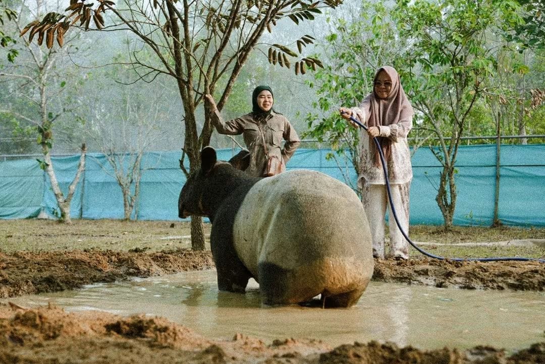 Bupati Mesuji Tinjau Tapir di Taman Kehati, Ajak Masyarakat Jaga Kelestarian Satwa