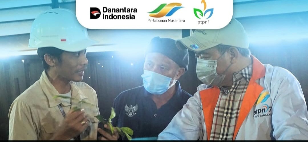 PTPN I (Persero) Regional 7 Buka Peluang Kolaborasi, Dubes Palestina Kunjungi Kebun Pagaralam