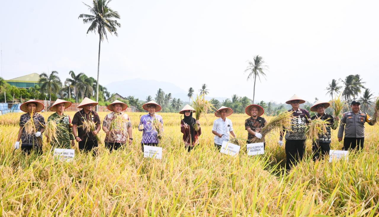 Panen Raya, Bupati Nanda Tekankan Penguatan Pendampingan Petani Guna Jaga Produktivitas Pertanian